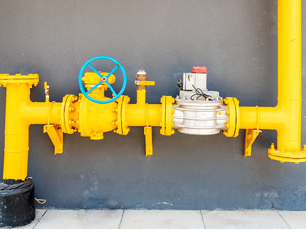 ���y�T��Ͷ�aǰ�ľS�o����