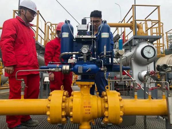 �~��ɭ��(chu��ng)��������(zh��)������׌ÿһ���ܾ��\(y��n)�и���ȫ