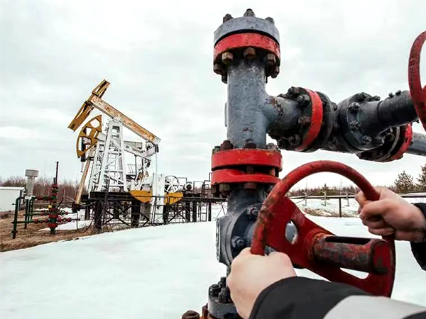 �҇�(gu��)�����͚��Q(m��o)�׸ۿڰl(f��)չ��ֳ����γ�