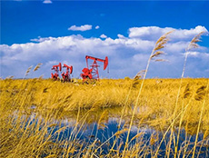 �������������e���������|��Ч